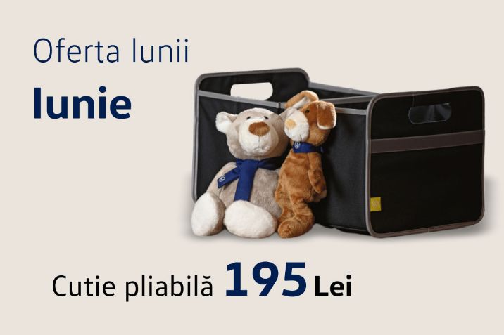 Oferta lunii iunie - vw