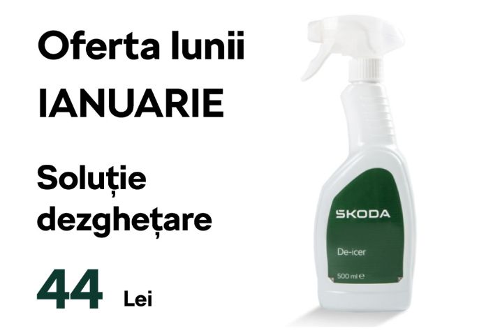 Oferta lunii ianuarie - skoda