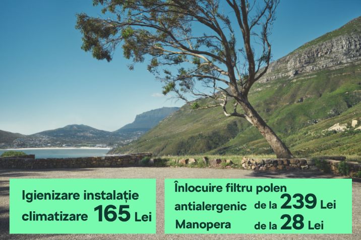igineizare