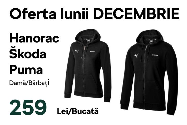 Oferta lunii decembrie - skoda